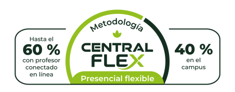 Central flex-1 Central flex-1