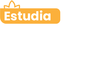 Recurso 7-Feb-21-2025-01-42-04-2772-PM